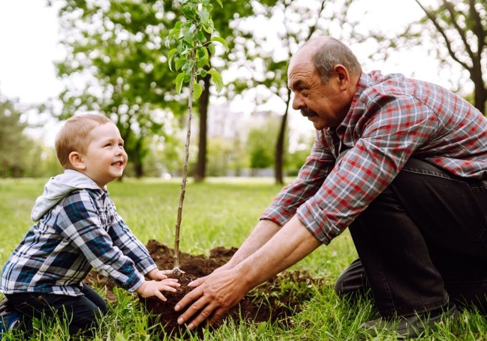 Grandfather planting tree with grandson