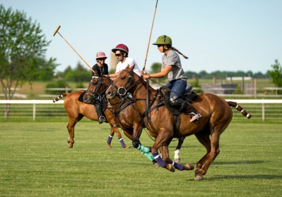 Polo_8_web