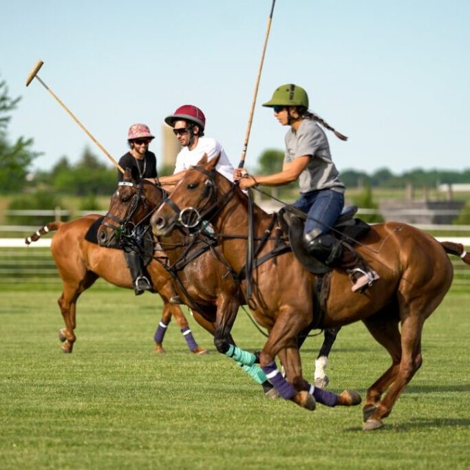 Polo_8_web